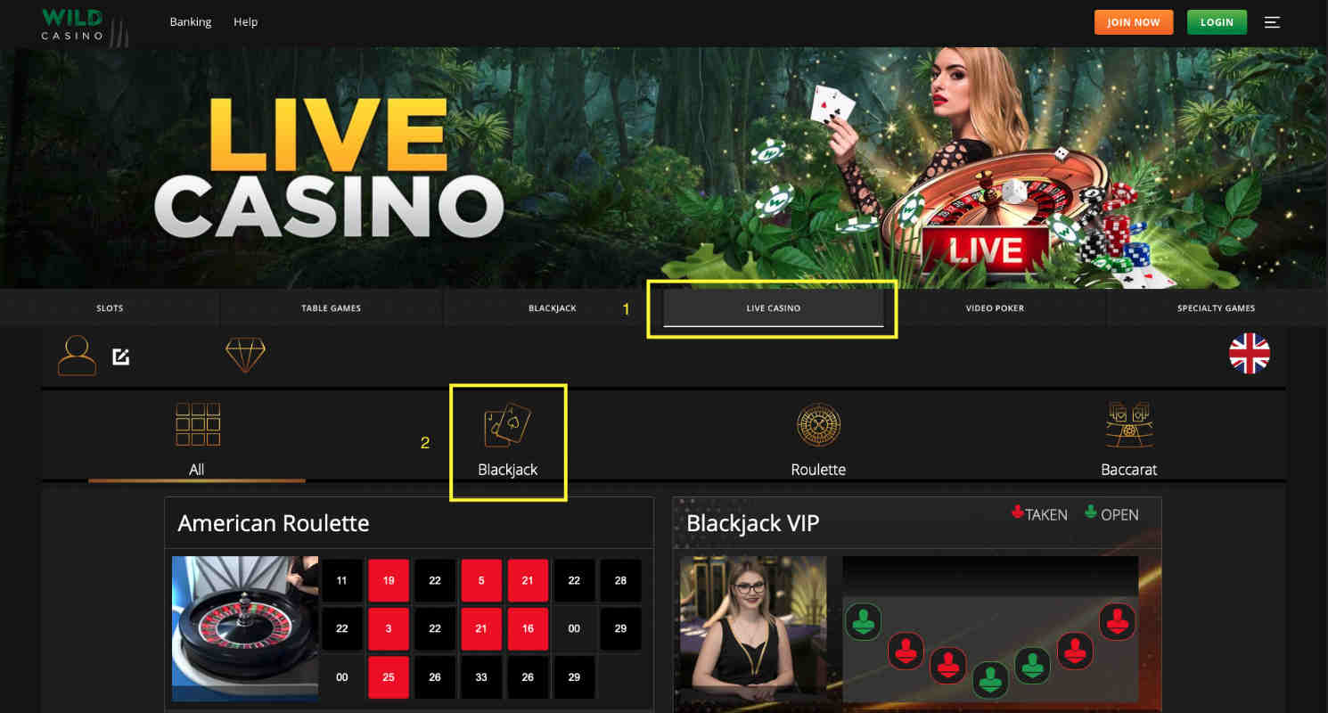 Live Blackjack Online Casino Registration Step 4